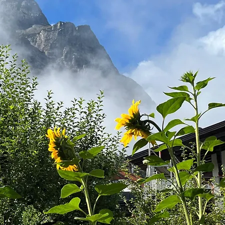 아파트 Haus Alpenblume