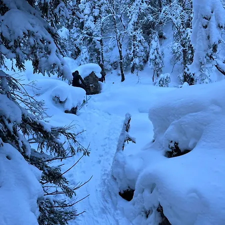 Apartamento Haus Alpenblume Ehrwald