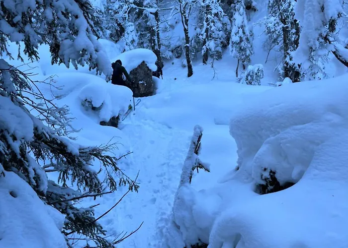 Apartamento Haus Alpenblume Ehrwald