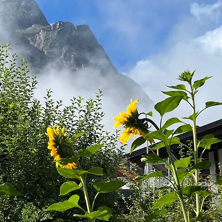 Apartment Haus Alpenblume