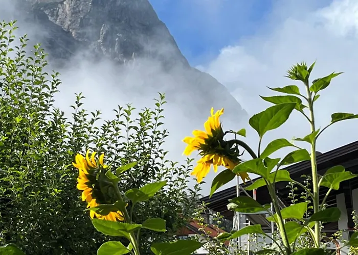 公寓 Haus Alpenblume